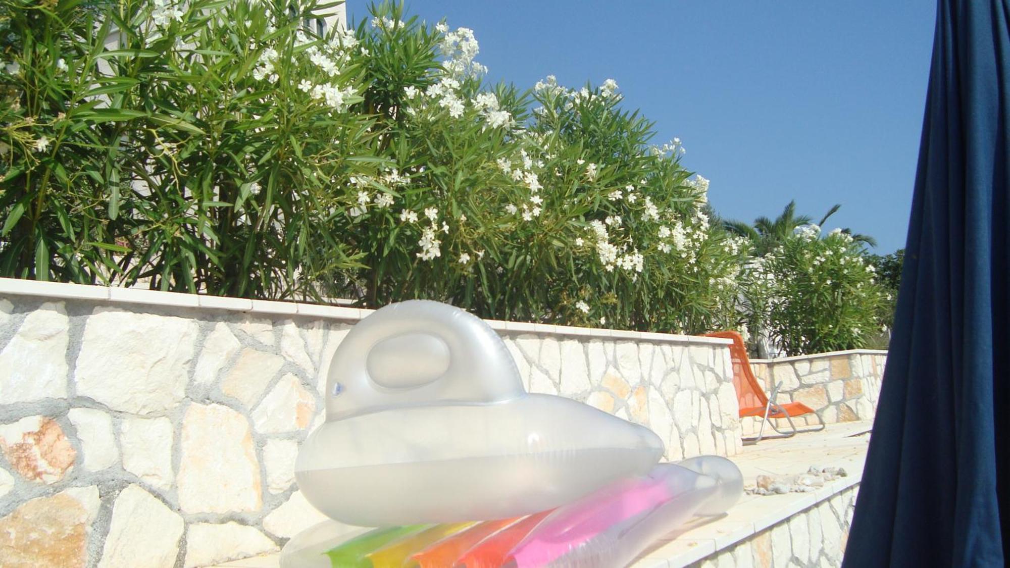 Apartments Niana With Heated Seawater Swimingpool Donji Okrug  Dış mekan fotoğraf